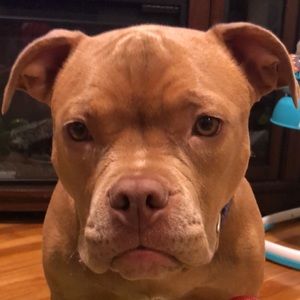 Meet your Posher, Carlos